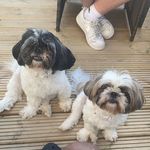 @sherry.mcdermott1 - Instagram
