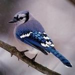 Sherry McDermott - @mcdermottsherry - Instagram