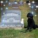 Sherry-McDermott Ron Harter - Facebook