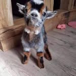 Sherry McDonnell - @mcdonnellsherry - Instagram