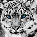 Sherry McKellar Davis - Facebook
