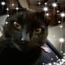 Sherry Mclemore - Facebook
