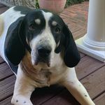 Sherry McLemore - @beaumac74 - Instagram
