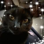 Sherry Mclemore - @sherry.mclemore.10 - Instagram