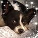 Sherry McLemore - Facebook