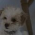 Sherry McNeil - Facebook