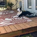 Sheri McNew - Facebook