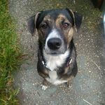Sherry Meade - @meade_by_the_ocean - Instagram