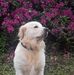 Sherri Melancon - Facebook