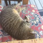 Sherry Mercer - @sherrymercer12 - Instagram