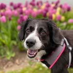 Sherry Mercer - @sherryrmercer - Instagram