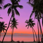 Sherry Mercer - @sherrymercer55 - Instagram