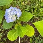 Sherry Merrick - @shermerhare - Instagram