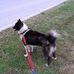 Sherry Meyer - Facebook