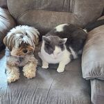 Sherry Meyer - @shmeyer55 - Instagram