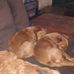 Sherry Miner - Facebook