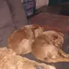 Sherry Miner - @sherry.miner - TikTok