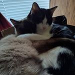 Sherry Mooney - @sherrymooney106 - Instagram