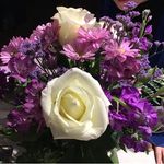 Sherry Mooney Mellenthine - @sherrymooneymellenthine - Instagram