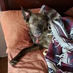 Sherry Mora - @sherrymora34 - Instagram