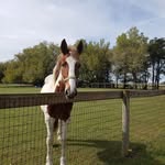 Sherry Mora - @sherrymora348 - Instagram