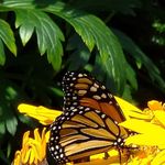 Sherry Moser - @sherry.moser.338 - Instagram