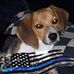 Sherry Moser - Facebook