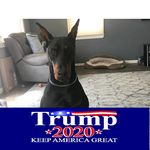 Sherry Moser - @moser6127 - Instagram