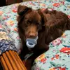 sherrymosier818 - @sherrymosier818 - TikTok