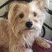 Sherry Moss - Facebook