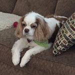 Sherry Moss Hunt - @sh.erry3031 - Instagram