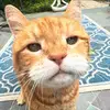 sherrymoss19976 - @sherrymoss19976 - TikTok