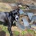 Sherri Munson - Facebook