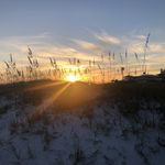 Sherry Hambright Nall - @sherryhnall - Instagram
