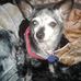 Sherry Nall - Facebook