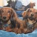 Sherry Neff - Facebook