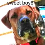 Sherry Nevins - @sherrynevins5335 - Instagram