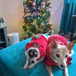Sherry Nevins - @sassysherry321 - Instagram