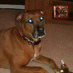 @sherrynevins31 - Instagram