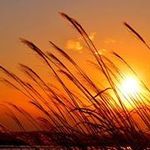Sherry Newbold - @sherry.newbold - Instagram