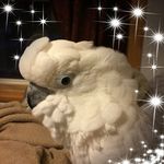 Sherrie Lewis Nixon - @sherry_nixon1955 - Instagram