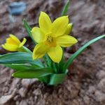 Sherry Nix Swidler - @sherryswidler - Instagram