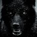 Sherry Noe - Facebook