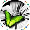 Sherry Noe - @sherry.noe - TikTok