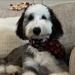 Sherry Norton - @nortonsherry19 - Instagram