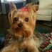 Sherri Oakley - Facebook