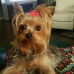 Sherri Oakley - @sherrioakley7200 - Instagram