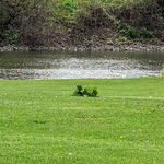 Sherry Koehler - @sherry.koehler.5 - Instagram