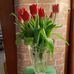 Sherry Ogle - Facebook