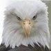 Sherry ONeill - Facebook